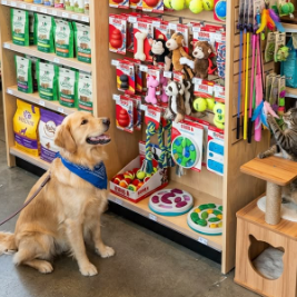 Pet Shop